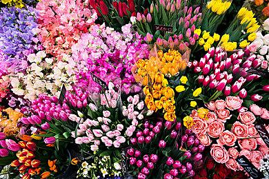 《上古OL》开发商被砍掉的《黑鸟》2分钟片段曝光